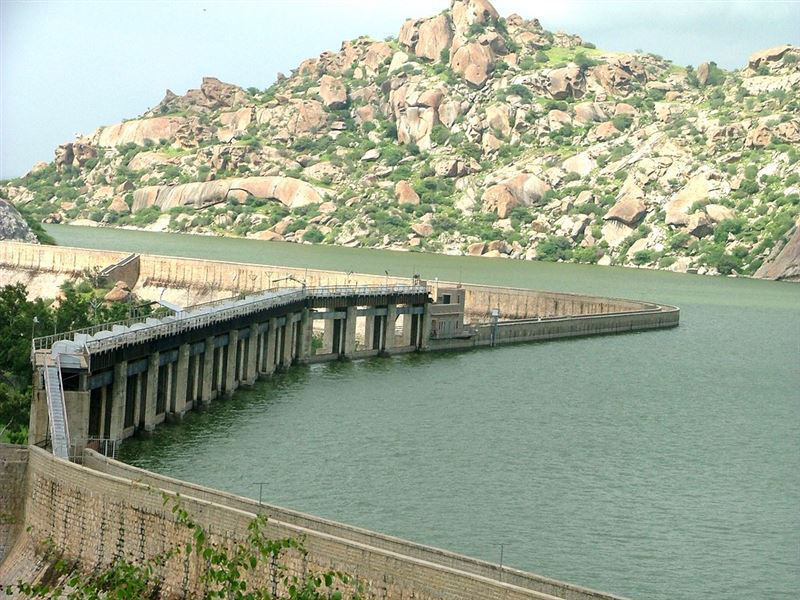 Jawai Leopard Safari