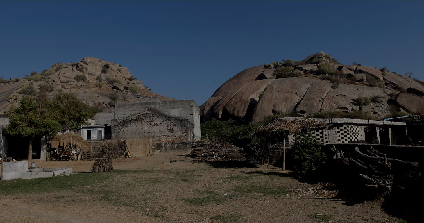 Jawai Leopard Safari